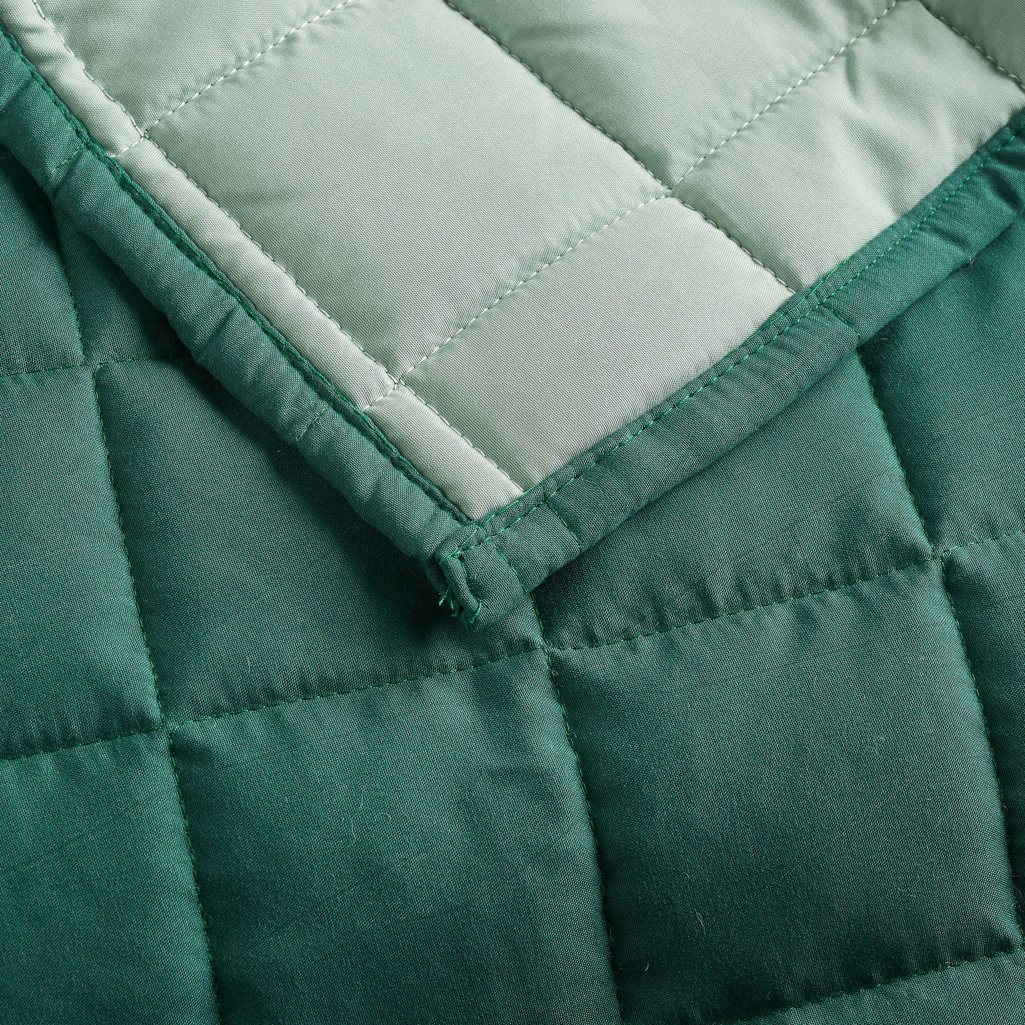 Trapuntino Teknotime salvia Maè