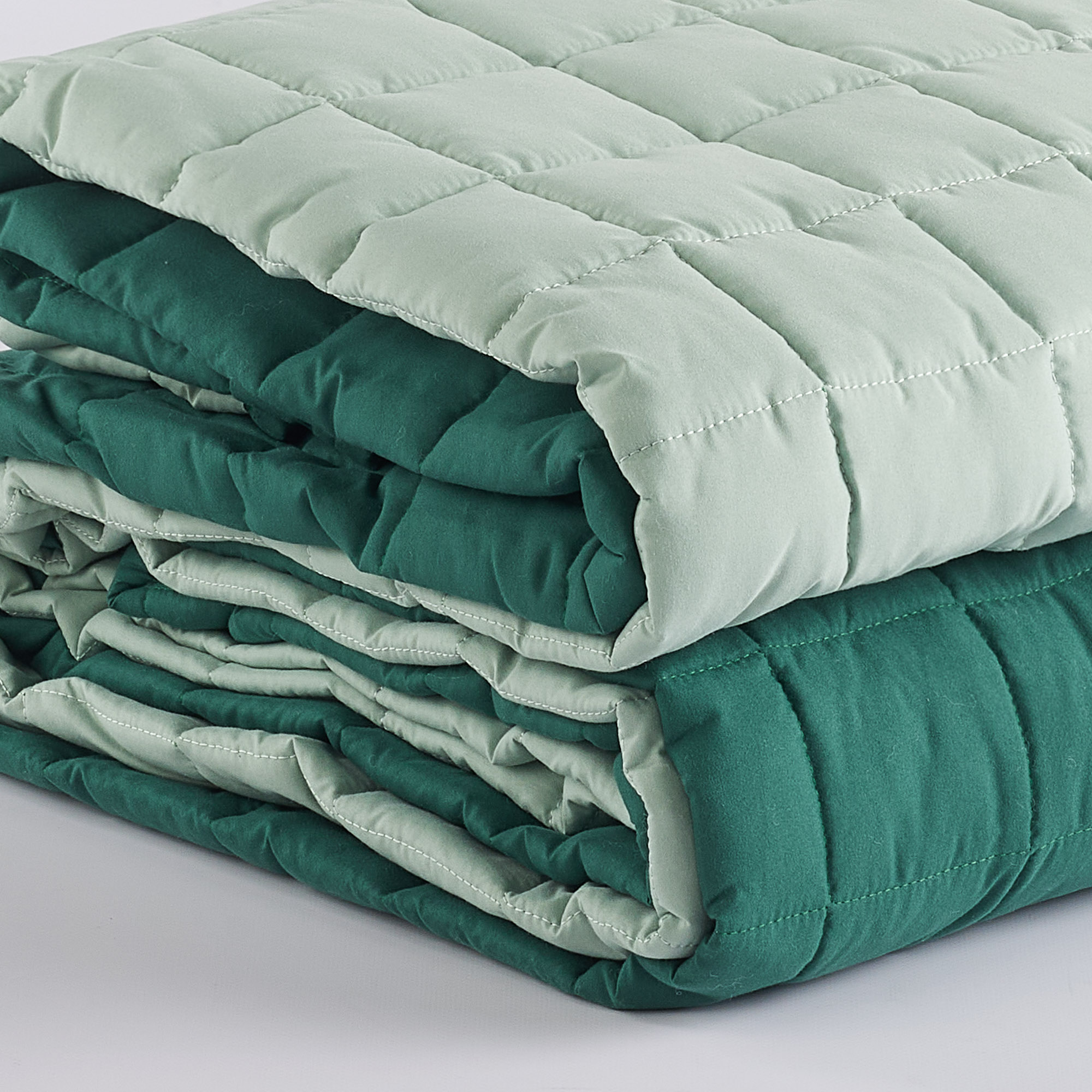 Trapuntino Teknotime salvia Maè