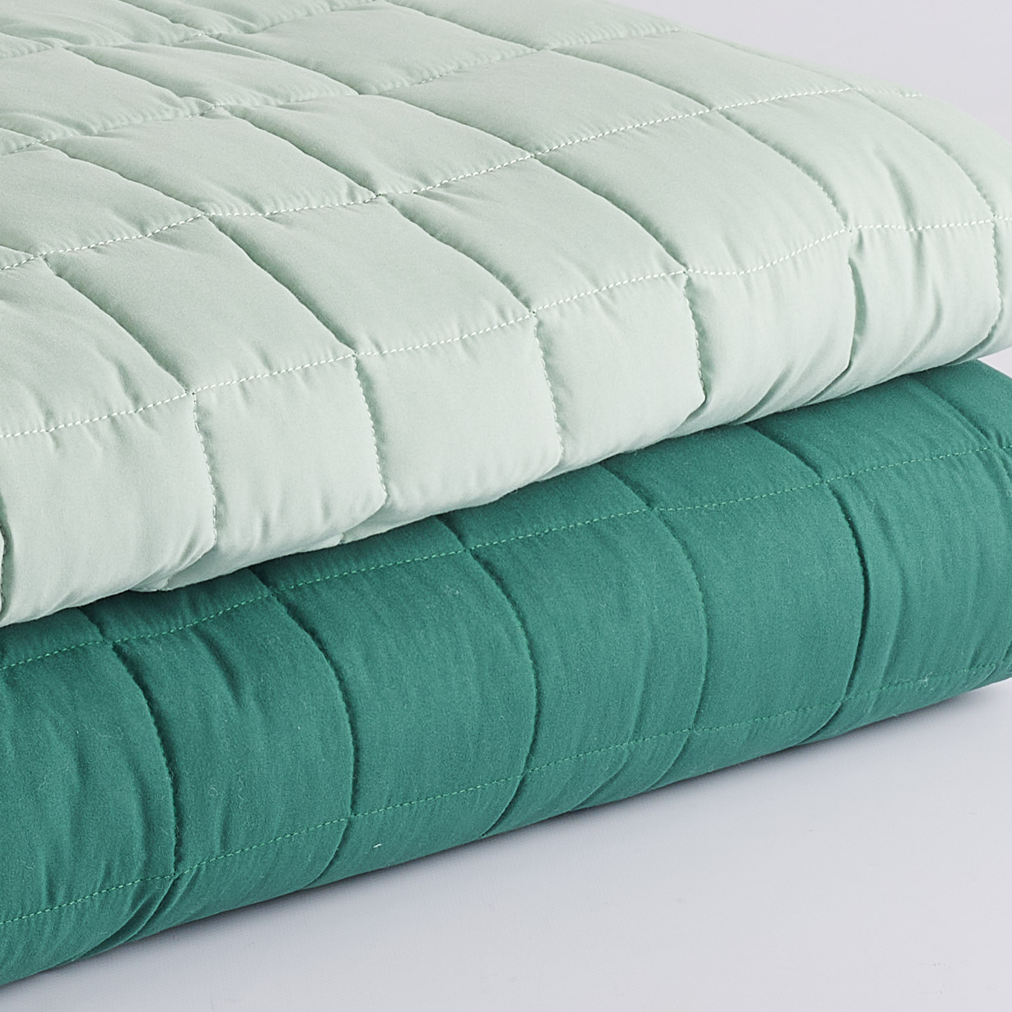 Trapuntino Teknotime salvia Maè