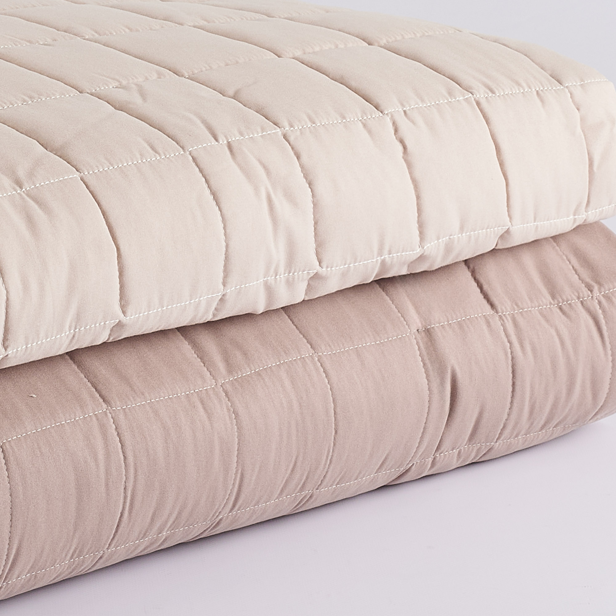 Trapuntino Teknotime tortora Maè